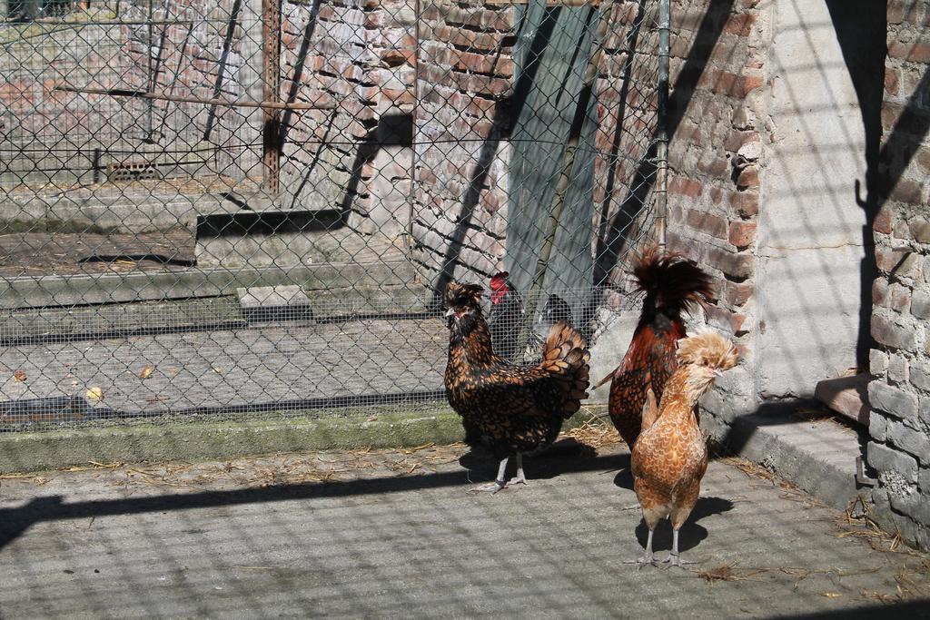 Agriturismo Le Clementine Badia Polesine Εξωτερικό φωτογραφία