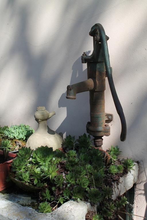 Agriturismo Le Clementine Badia Polesine Εξωτερικό φωτογραφία